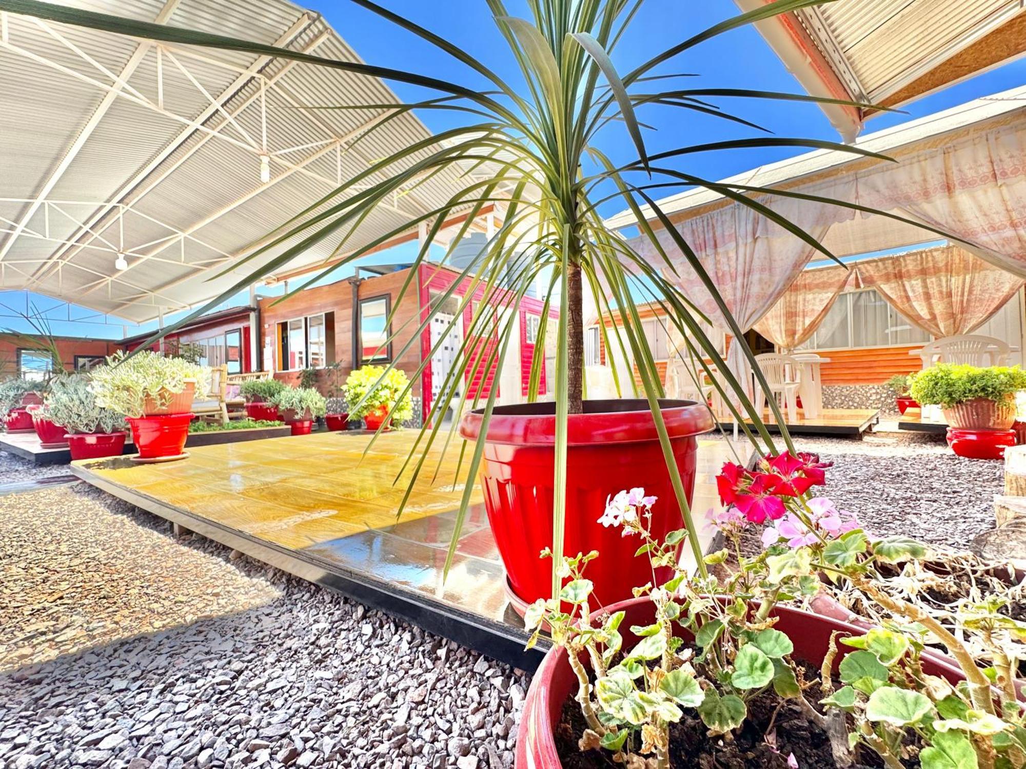 Casa Tiny Διαμέρισμα Σαν Πέδρο ντε Ατακάμα Εξωτερικό φωτογραφία